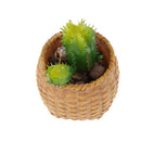 Artificial Real Touch Succulent Plant Ball Cactus Flower Arrangement Green