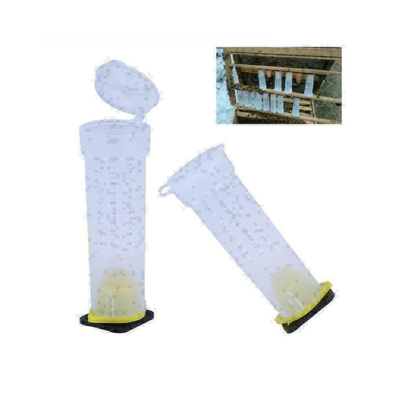 10PCS Beekeeping Rearing Cup Kit Bee Cages Beekeeper Equipment Tools T4M8 V F0O4