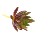 Set of 2 Artificial Succulent Flower Real Touch Simulation Faux Plant 310