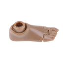 1/6 Bare Feet & Connectors for 12 Inch HT TC TTL 3A Figures Body Accessories