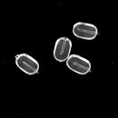 150PRS Silicone Nose Pads Holders Eyeglass Glasses Spectacles Frame Repair