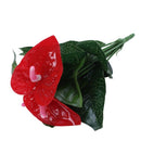 Anthurium, green potted anthurium flowers indoor green plants balcony