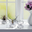 6 Pcs Flower Pot Stainless Steel Air Plant Stand Container Tillandsia Holder Hn