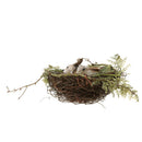 2Pcs Plastic Bird Nest 4Pcs Artificial Birds 10pcs Eggs Nature Craft DIY