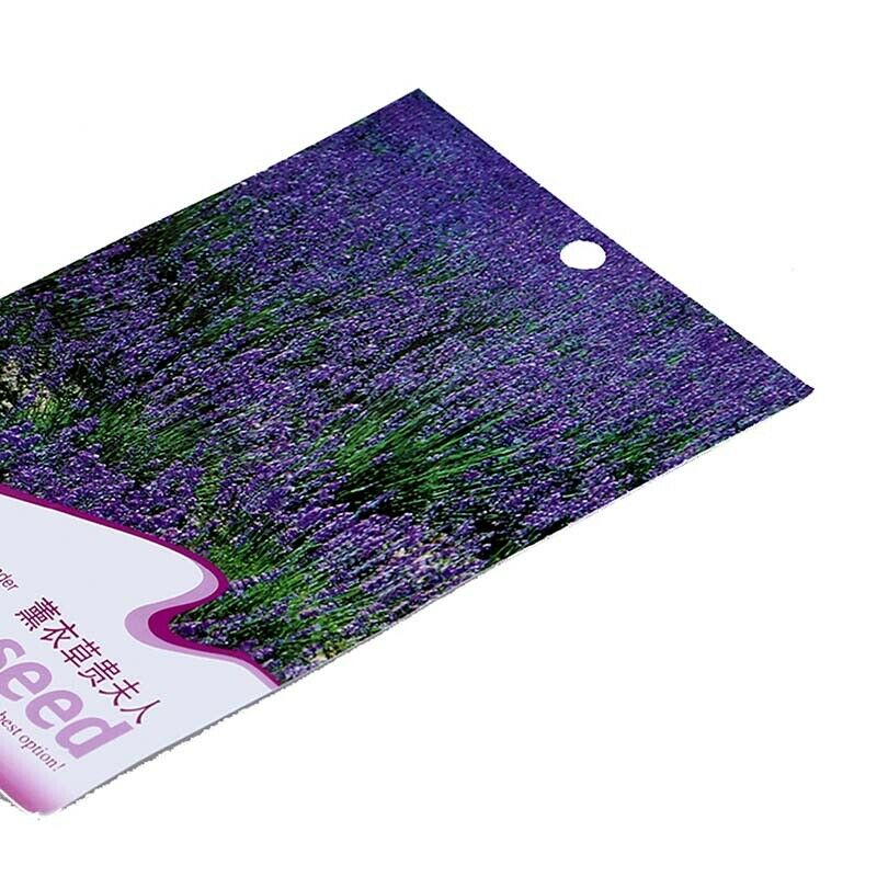 20pcs/bag Purple Lavender Seeds Fresh Flowers Seeds