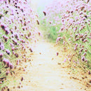 Photography Background Village Lane Wall Studio Props Backdrop Fabric Decor A