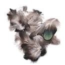 20pcs Caragana Feathers Green Natural Feathers 4-7cm Decor Making Feathers ME