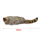 Raccoon Magic Stage Street Illusions Gimmick Accessories Prop Funny Appear
