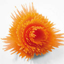 Vegetable Cutter Plastic Spiral Slicers Peeler Fruits Device Gadget Cooking To3C