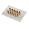 Audio 5 Speaker 10 Binding Post Banana Jack Wall Face Plate Panel 115x70mm