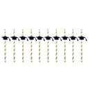 10 Pieces Personalized Straw Dr. cap Labels Graduation Party Striped Decor