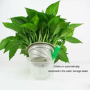 Hydroponic liquid plant fertilizer Nutrient Solution Seedling Recovery Root US^^