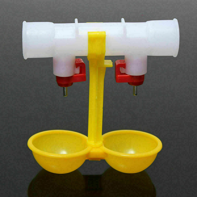 Bird Coop Double Cups Automatic GeflÃ¼gel-Wasser, the trinocular