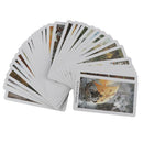 Magic Wild Wood Tarot Cards Deck Edition Mysterious Tarot Board Game 78 Card OZ