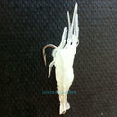 9Pcs Soft Plastic Simulation Prawn Shrimp Fishing Tackle Baits Lures Hook 4cm