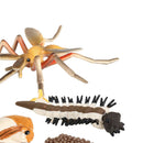 Realistic Life Cycle of Mosquito 4 Part Insects Hatchery Growth Figures Toys