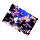 Vivid Aquarium Undersea Background, Non-toxic Adhesive Poster Fish Tank Decor