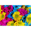 1000pcs DIY Paper Puzzle Colorful Daisy Jigsaw Educational Toys Room Decor