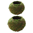 2pcs Naturally Green Moss Ball Flowerpot Plant Holder Garden Ornament Holiday