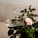 1x Glass Water Feeder Flower Plant Self Watering Bird Plant Waterer Garden  New