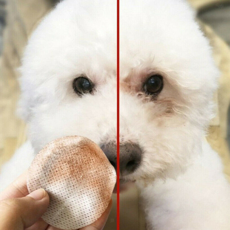 3 Boxes Pet Dog Cat Eye Wipes Puppy Eye Care Cleaning Wipes Tear Stain Remover