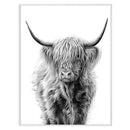 Diamond Painting Full Round Drill Highland Cow 5D Diamond Painting Painting
