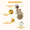 Cat Snack Catnip Ball Lick Solid Nutrition Ball Molar Cleaning Cat Snacks