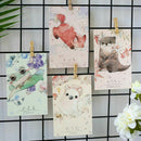 Boxed Postcards Hand-Painted Watercolor Greeting Card Animal Small Fresh Card