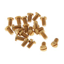 20pcs Saxophone Maintenance Screws Sax Repair Tools Parts DIY Accessories