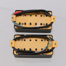 6 Strings Electric Guitar Humbucker Pickups Double Coils Bridge & Neck Black