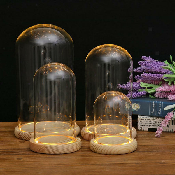 DIY Craft Glass Dome Cover Dry Flower Vase Wood Cork Cloche Oval 10x25cm