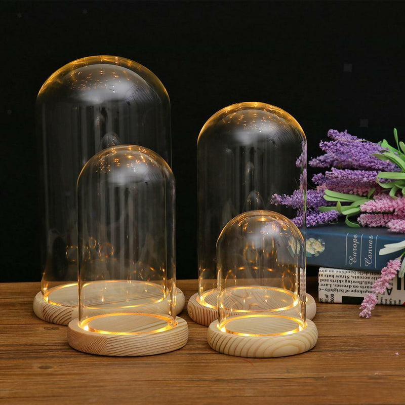 DIY Craft Glass Dome Cover Dry Flower Vase Wood Cork Cloche Oval 10x25cm