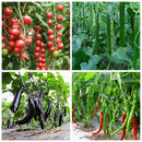 Cytokinin Plant Hormones Improve Vegetable Flower Fruit Tree Better Product lj