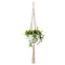 Plant Hangers - Handmade Indoor Wall Large Hanging Planter Pot Holder - Mod