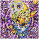 5D DIY Special Shaped Diamond Painting Owl Cross Stitch Embroidery Mosaic Kit