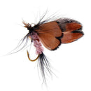 12 pcs Butterfly Design Dry Fly Fishing Bait Hook Accessories