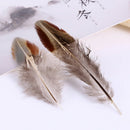 50pcs/set pheasant feathers 5-10cm chicken plumes for carnival diy craft de3cr