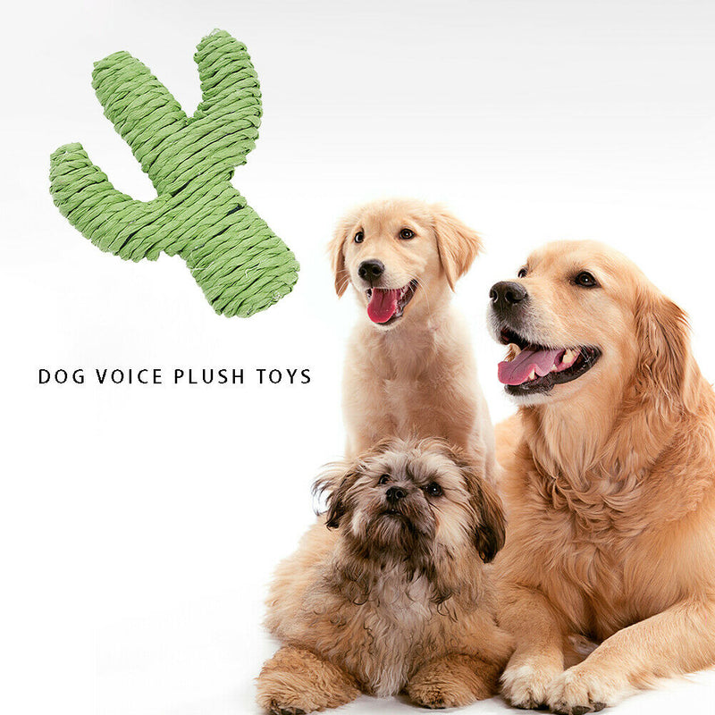 3pcs/set Rope Cactus Funny Dog Cat Molar Chew Bell Sound Toys Pet Supplies