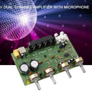 DIY Stereo Digital Audio Power Amplifier Board Electronic Circuit Module