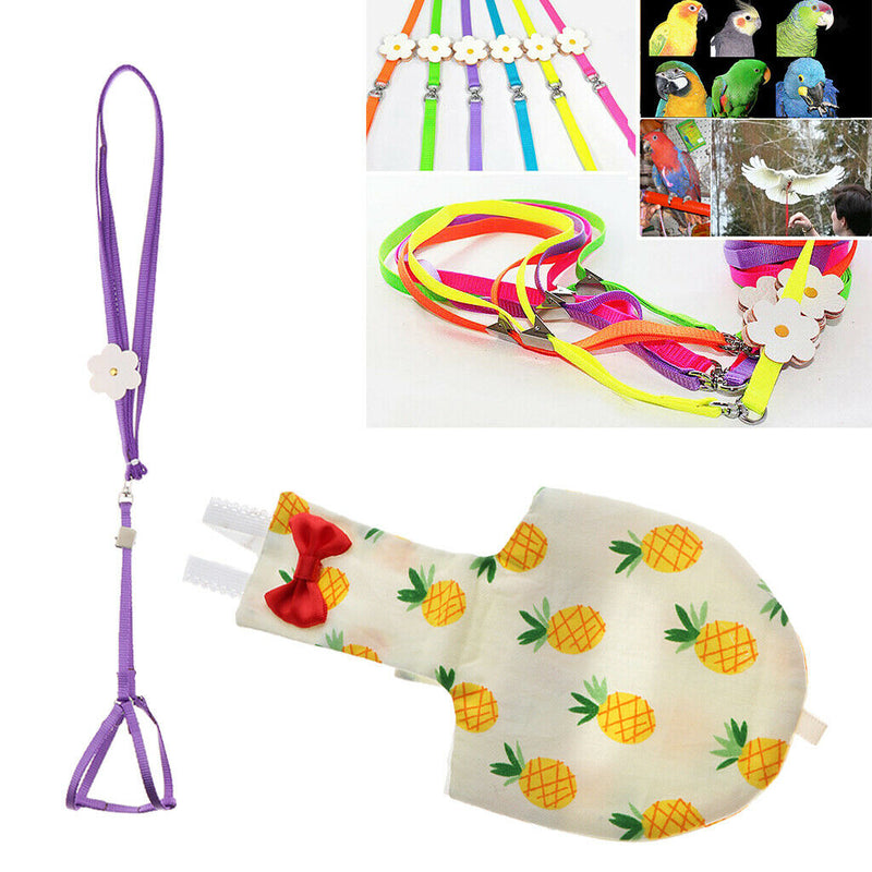Harness Leash with Adjustable and Bite Resistant Design and Cockatiel Parrot