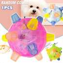 Interactive Jumping Ball For Dog Colorful LED Light Music Flashing Bouncing