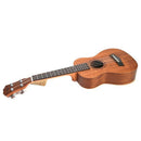 21 Inch Ukulele Sapele Soprano Beginner Ukulele Guitar Dolphin Pattern Ukul