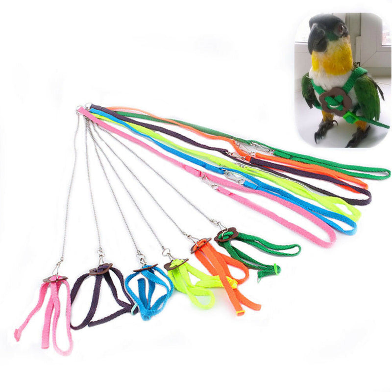 1Pc Adjustable Washable Nylon Pet Bird Parrot Harness Leash Outdoor Walking Rope