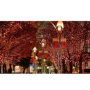 4.5M Star String Lamp Crystal Light Festival for XMAS Wedding Party Decor