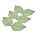 Green Leaf Fall Kraft Paper Sticky  Green For Kids Work Or Study MO