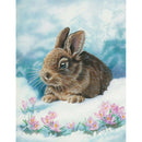 5D DIY Full Drill Diamond Painting Rabbit in Amazement Cross Stitch (B978)