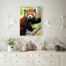 5D DIY Full Round Drill Diamond Painting Climbing Koala Cross Stitch Decor A
