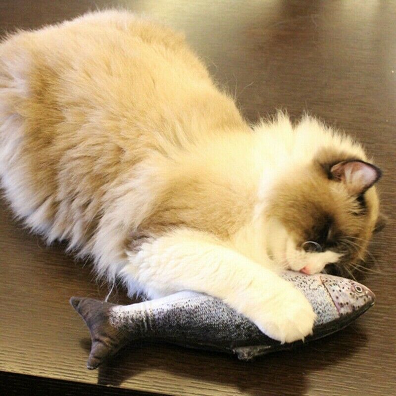 5PCS Catnip Fish Toys for Cat 20Cm Cat Toys Cat Fish Pillow Cat Catnip Toys U4U9