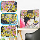 5D DIY Special Shaped Diamond Painting Beauty Cross Stitch Mosaic Craft Kit