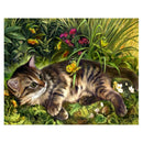Diamond Embroidery Cat Full Square Diamond Painting Animal Cross Stitch Dia